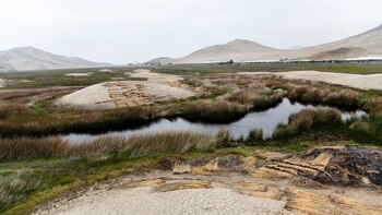 Humedales de Puerto Viejo, en