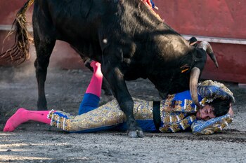 Novillada sin picadores, en la