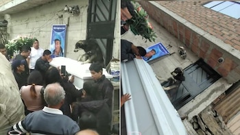 Un perrito conmueve a miles en TikTok al despedirse de su dueño en un emotivo funeral.