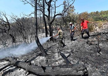 Incendio Argelia