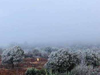 Para hoy lunes se pronostican