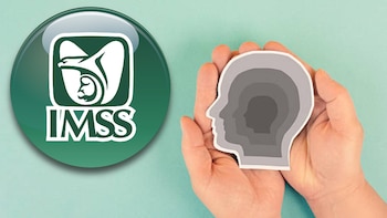 Cómo recibir orientación psicológica por