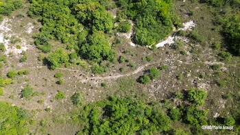 A restauração do meio ambiente apoiada pela FAO inclui o plantio de árvores, a proteção dos corpos d'água e a participação da comunidade diante das mudanças climáticas./ (FAO El Salvador)