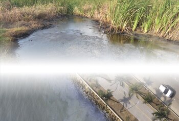 El Distrito de Cartagena es