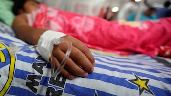 Honduras podría aplicar vacuna contra el dengue para esta semana