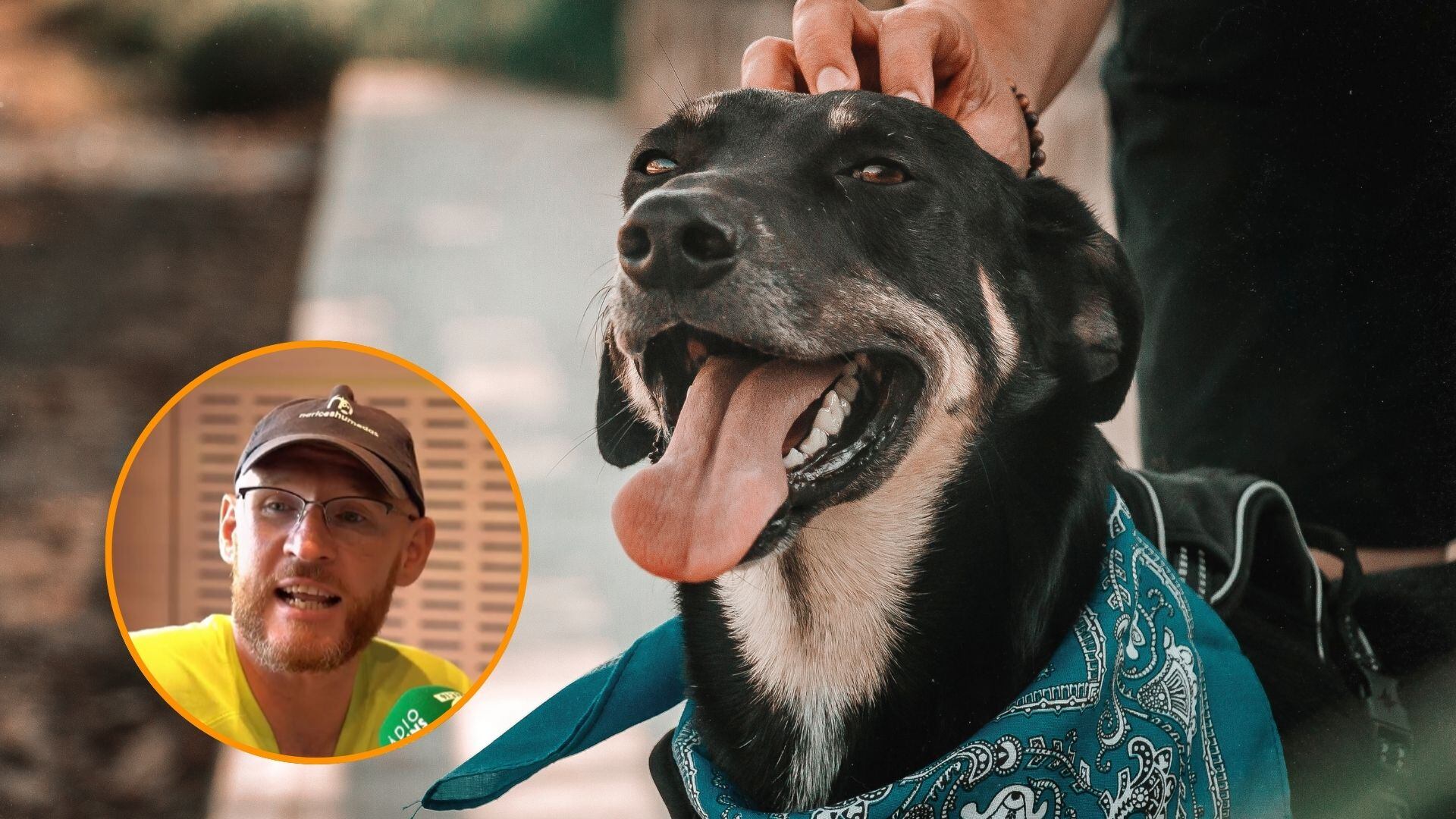El adiestrador canino Alan Peiró. (@adiestramiento_n.humedas/Instagram)