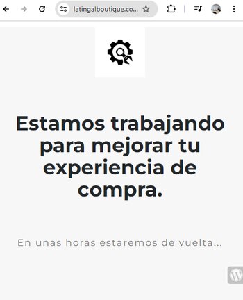 (Captura de pantalla/latingalboutique.com.mx)