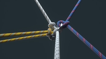 Muchas de las biografías de