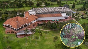 Se conocen nuevos detalles del