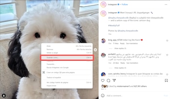 "Guardar como" en Instagram. (Infobae)