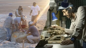 Las actividades conmemorativas incluyeron una