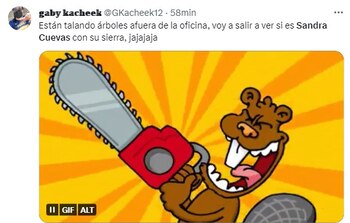 Usuarios de redes sociales no