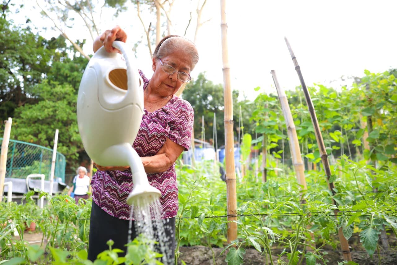 El proyecto de huerto comunitario integra a más de 30 familias y fomenta la producción agropecuaria en el centro de El Salvador. (Cortesía: Dirección de Reconstrucción Del Tejido Social)