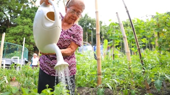 De la basura a la autosuficiencia: así florece una comunidad en El Salvador