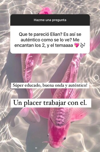 La China Suárez se refirió