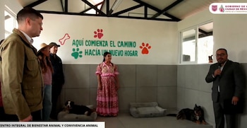 Clara Brugada inaugura centro animal más grande de México (Captura de pantalla)