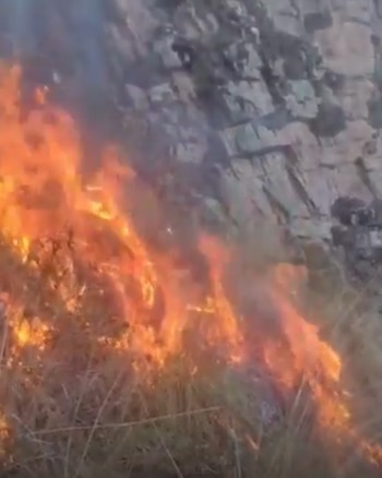Intentaron ahuyentar a un puma y causaron un incendio de 40 hectáreas en Jujuy