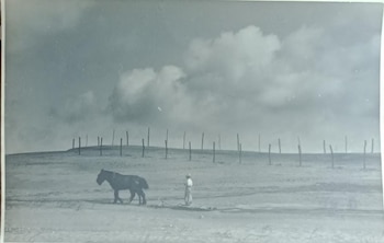 Una de las tantas fotos