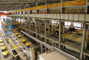 Los investigadores exploran adaptar la molécula para distintas aplicaciones industriales. (Reuters)