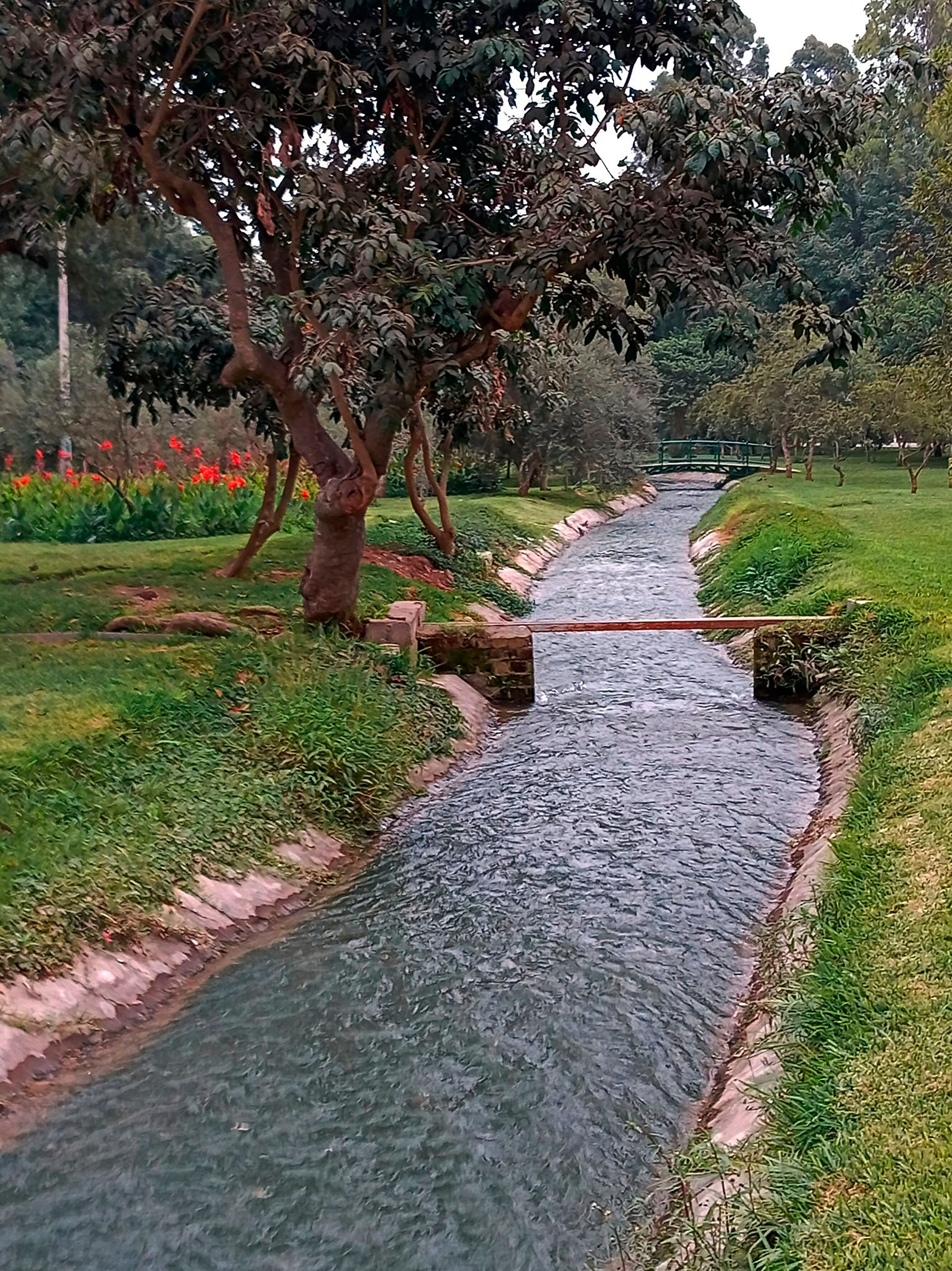 Segmento del canal Surco. Difusión