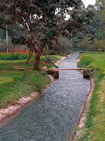Segmento del canal Surco. Difusión