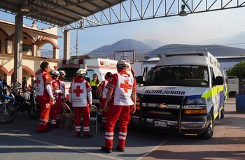 Atropellos ocurren frecuentemente en México