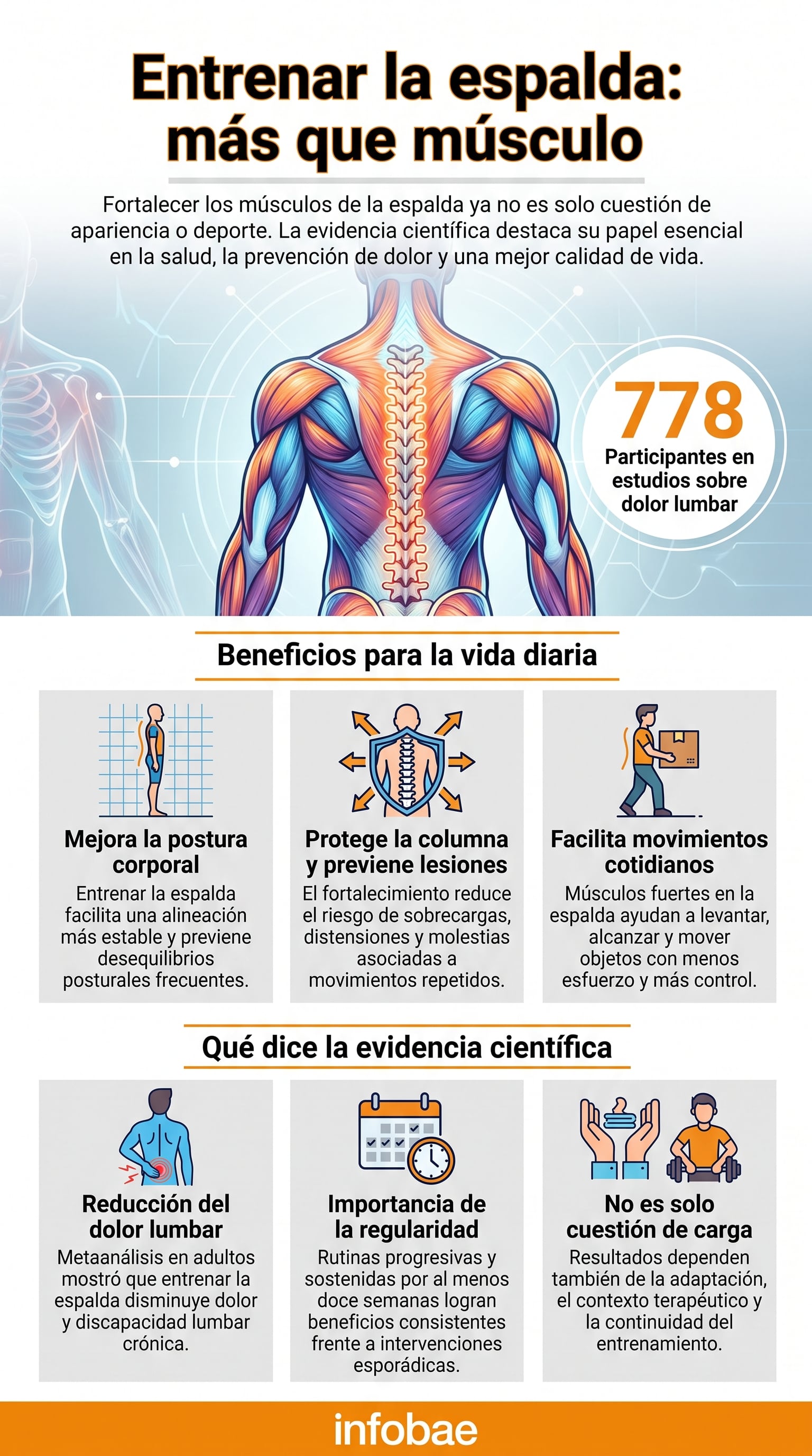 Una infografía detalla los beneficios del entrenamiento de espalda para la salud, la postura y la reducción del dolor lumbar, con apoyo de estudios científicos (Imagen Ilustrativa Infobae)
