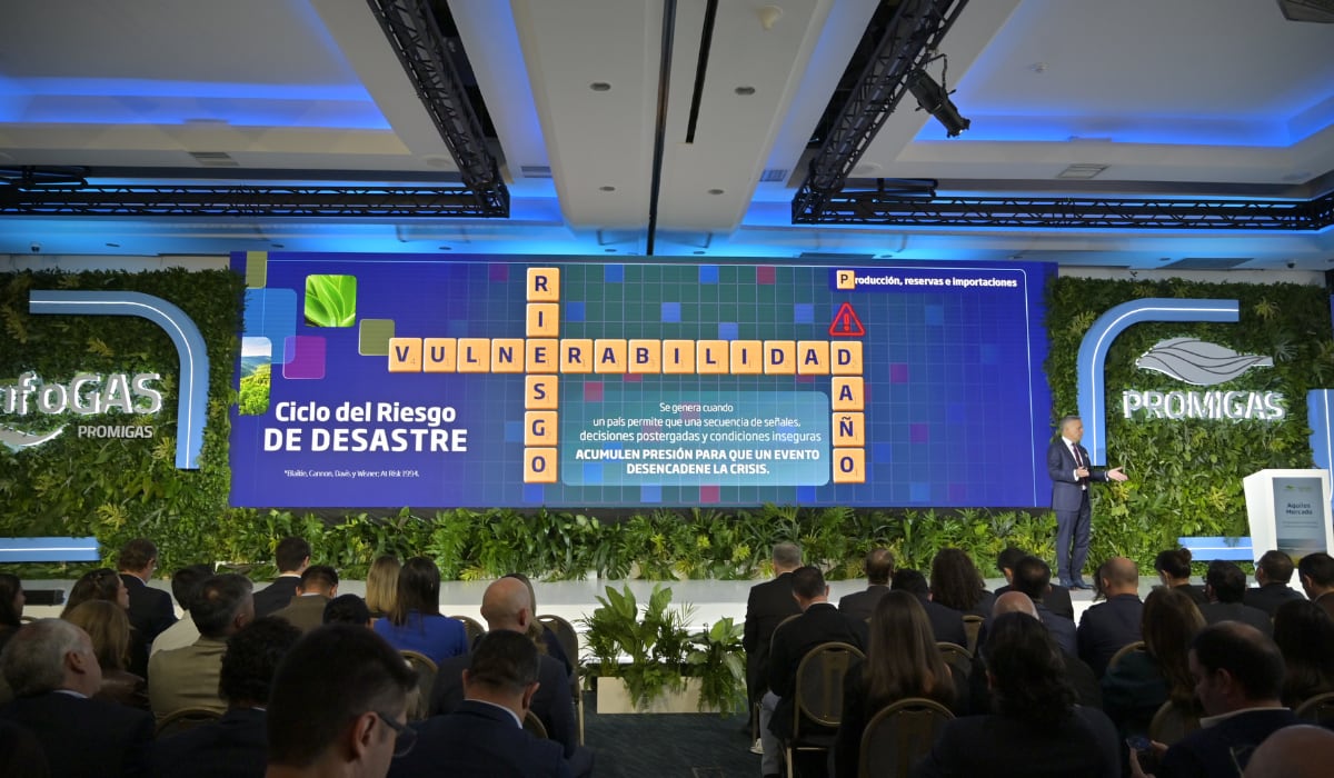 El proyecto Sirius podría aportar nueva oferta de gas natural, pero su primera producción llegaría entre finales de 2030 y 2031 por demoras en licencias, consultas e infraestructura. (Promigas)