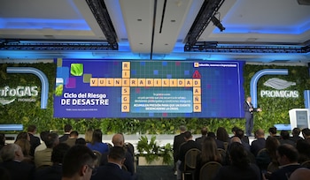 El proyecto Sirius podría aportar nueva oferta de gas natural, pero su primera producción llegaría entre finales de 2030 y 2031 por demoras en licencias, consultas e infraestructura.
