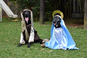 José y María estuvieron presentes