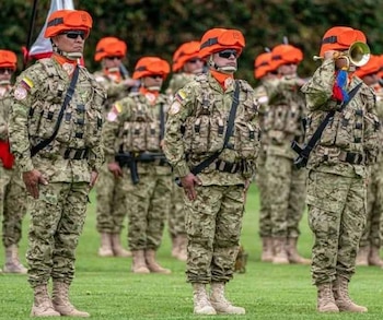 Lasso Salcedo lideraba el relevo colombiano en el Sinaí antes de que el Ejército ordenara su regreso - crédito Ejército Nacional de Colombia