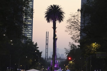 CIUDAD DE MÉXICO, 20FEBRERO2016.- Atardecer