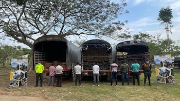 Capturan a 22 personas por