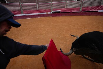 Las corridas de toros