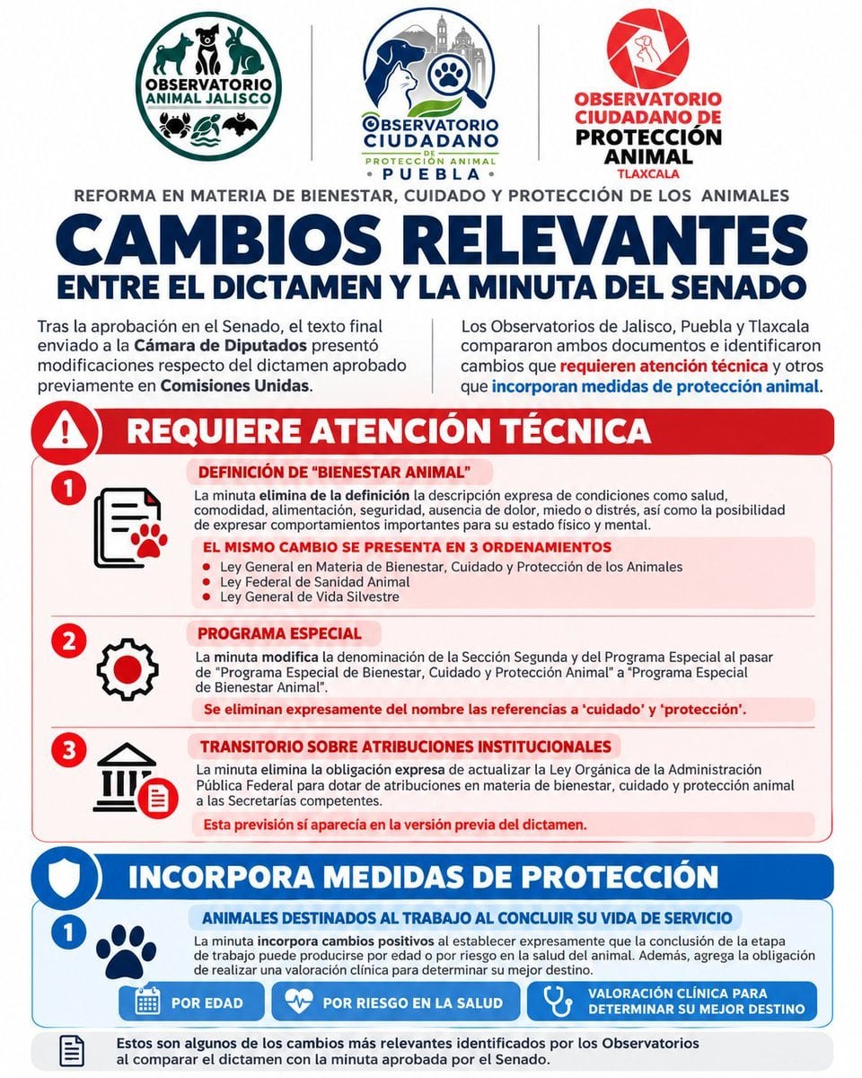 Observatorio Ciudadano de Protección Animal (@ObservaAnimal)