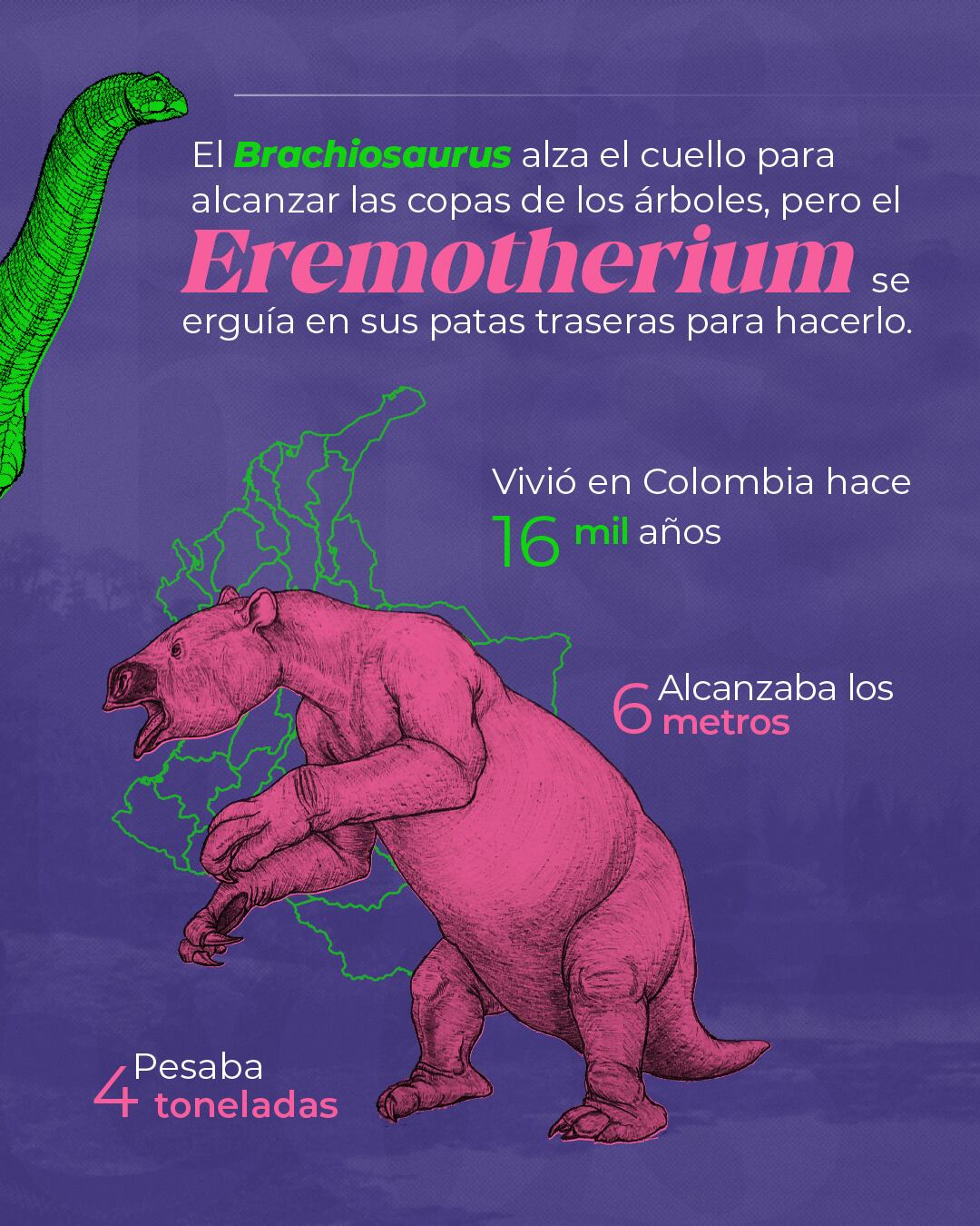 El perezoso gigante Eremotherium laurillardi habitó Colombia durante el Pleistoceno, hace unos 16.000 años - crédito Servicio Geológico Colombiano