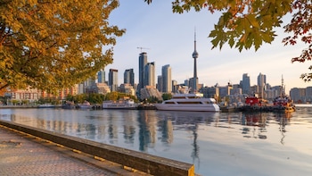 Iberia ofrecerá la mayor programación