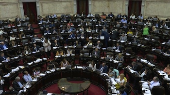 Fernández logra media sanción a