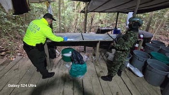 Incautaron más de 500 kilos