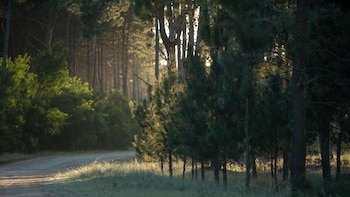 Un conflicto entre vecinos por