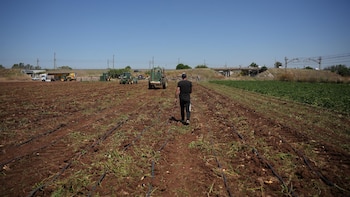 Los Veintisiete dan luz verde a ayudas para agricultores por el alza del precio de los fertilizantes