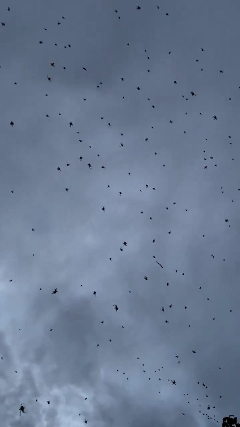 KZXKK2X2LJEKVPMPX4FOLNLKQQ