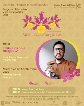 La reproducción in vitro es una de las técnicas que se enseñan durante el evento para cultivar orquídeas en casa. (Instagram/@museocasadelrisco)