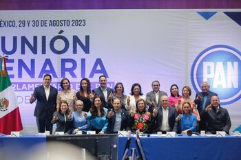 PAN_plenaria_03