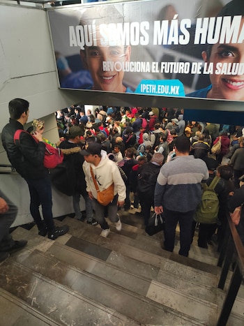 Avance en tiempo real de