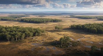 Vista aérea de un vasto paisaje árido con bosques de eucaliptos dispersos. Pequeños grupos de koalas se observan cerca de árboles y zonas con agua en la llanura.