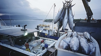 El impacto del conflicto en Medio Oriente: sube el gasoil y afecta a la pesca argentina