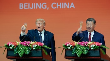 Donald Trump y Xi Jinping alzan sus copas en un brindis durante un evento oficial en Beijing, China, simbolizando la diplomacia entre ambas naciones. (Imagen Ilustrativa Infobae en base a fotos de Reuters)