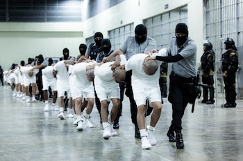 Fotografía cedida que muestra a