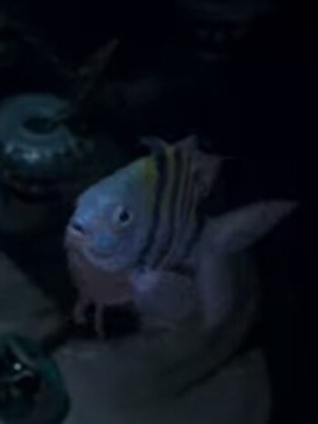 La nueva versión de Flounder